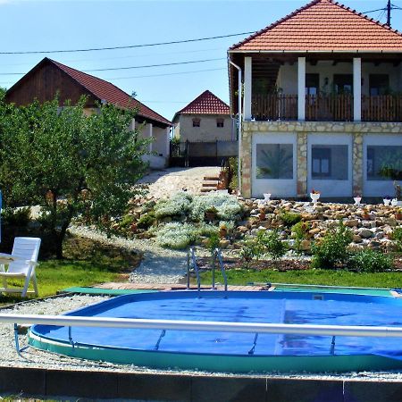 סרנץ' Tokaj Hill Panorama Guesthouse מראה חיצוני תמונה