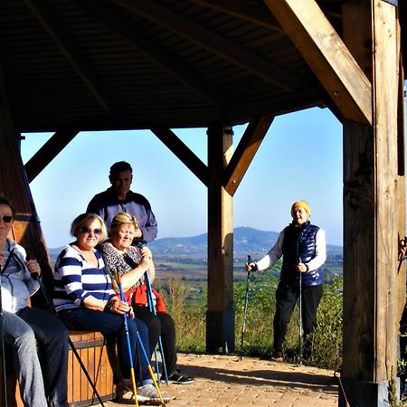 סרנץ' Tokaj Hill Panorama Guesthouse מראה חיצוני תמונה