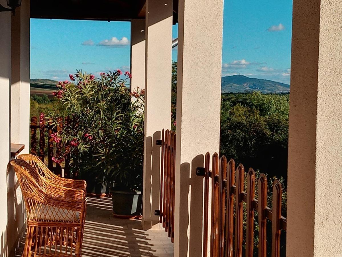 סרנץ' Tokaj Hill Panorama Guesthouse מראה חיצוני תמונה