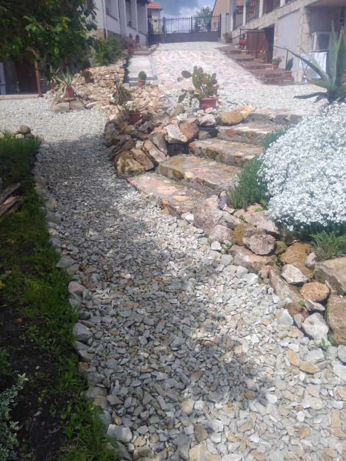 סרנץ' Tokaj Hill Panorama Guesthouse מראה חיצוני תמונה