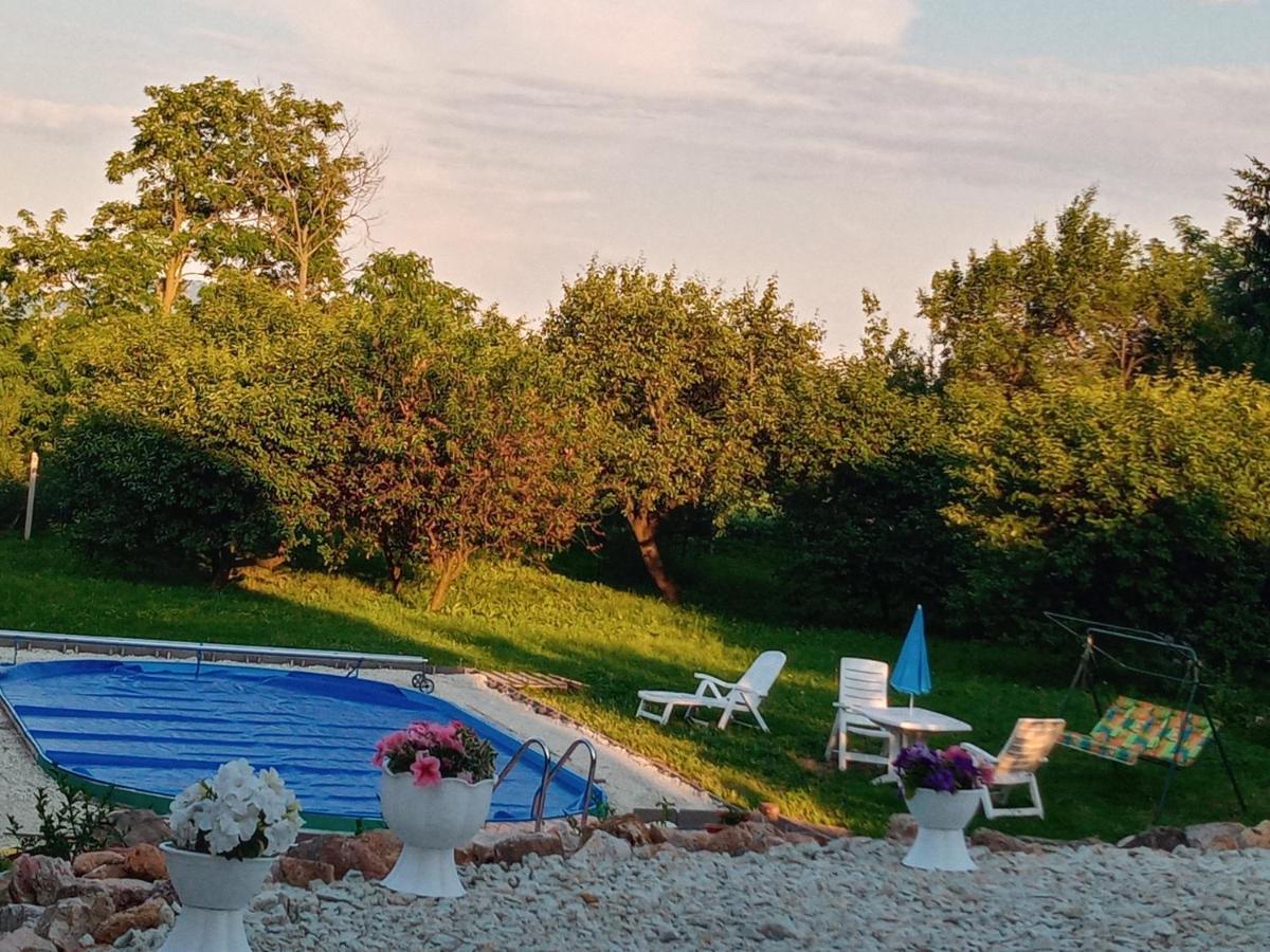 סרנץ' Tokaj Hill Panorama Guesthouse מראה חיצוני תמונה