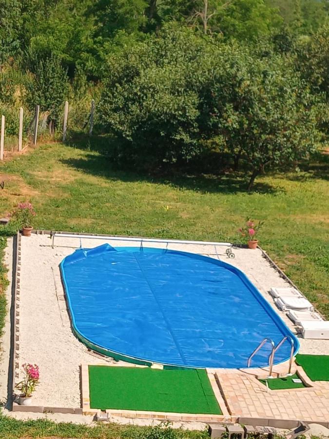 סרנץ' Tokaj Hill Panorama Guesthouse מראה חיצוני תמונה