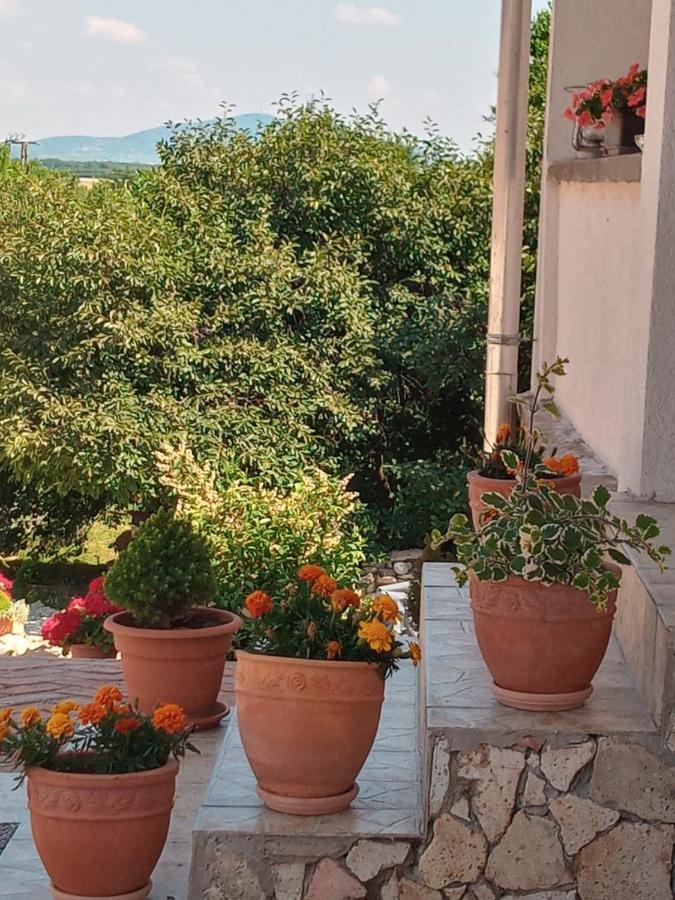 סרנץ' Tokaj Hill Panorama Guesthouse מראה חיצוני תמונה