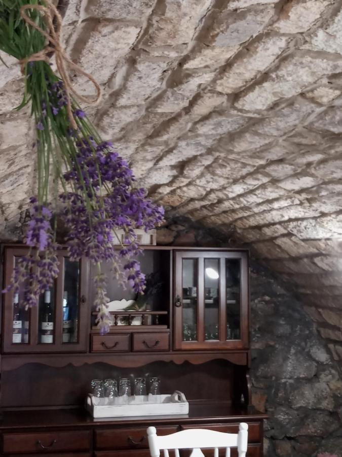 סרנץ' Tokaj Hill Panorama Guesthouse מראה חיצוני תמונה