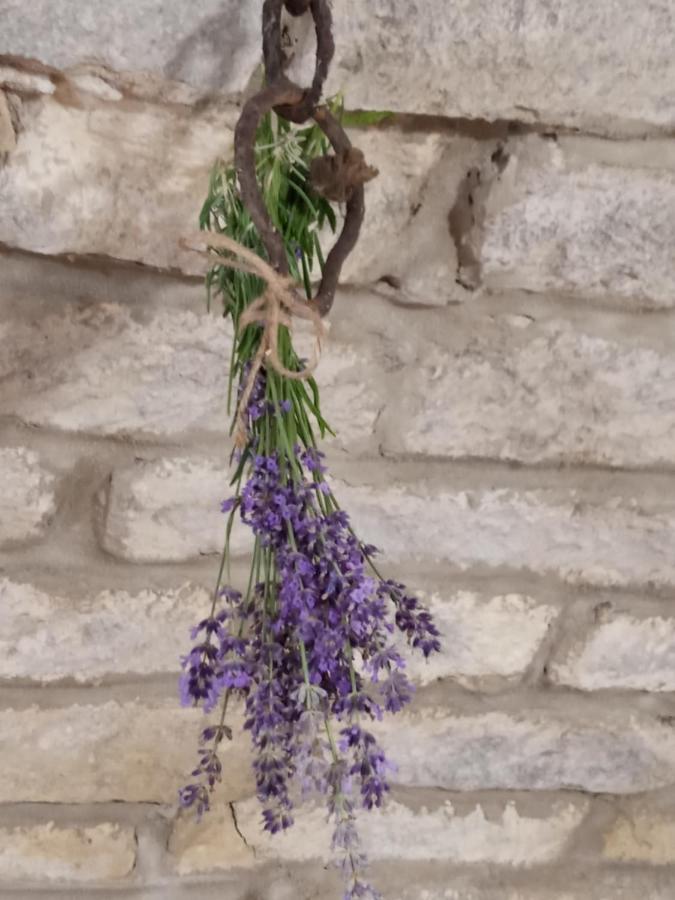 סרנץ' Tokaj Hill Panorama Guesthouse מראה חיצוני תמונה