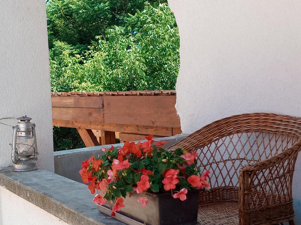 סרנץ' Tokaj Hill Panorama Guesthouse מראה חיצוני תמונה