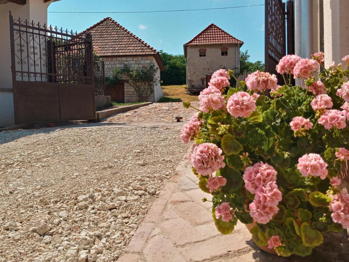 סרנץ' Tokaj Hill Panorama Guesthouse מראה חיצוני תמונה