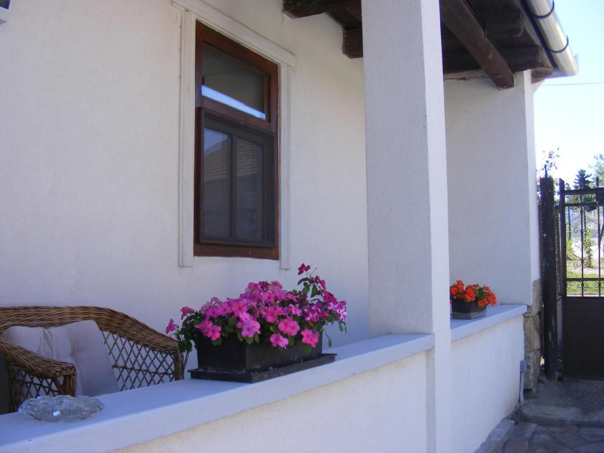 סרנץ' Tokaj Hill Panorama Guesthouse מראה חיצוני תמונה