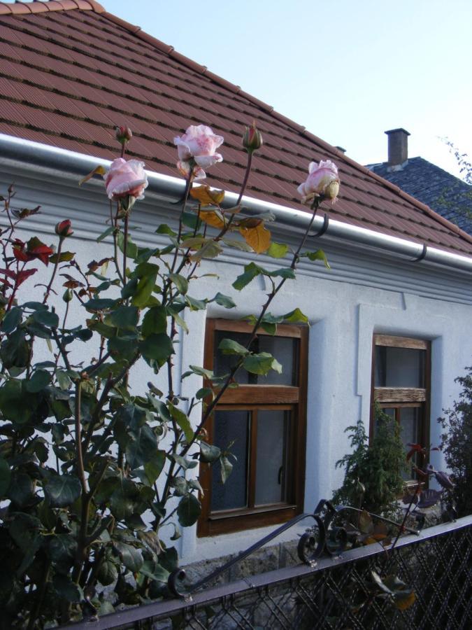 סרנץ' Tokaj Hill Panorama Guesthouse מראה חיצוני תמונה