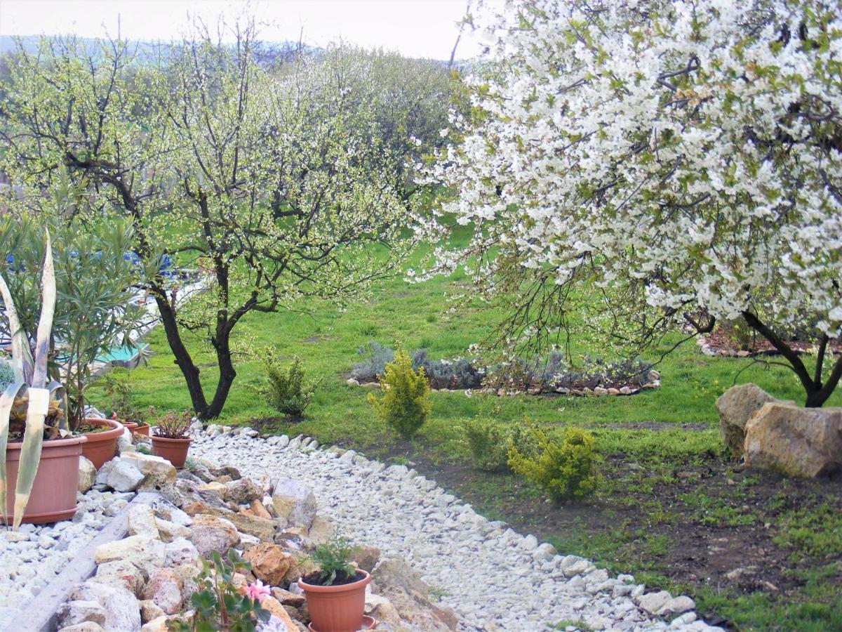 סרנץ' Tokaj Hill Panorama Guesthouse מראה חיצוני תמונה