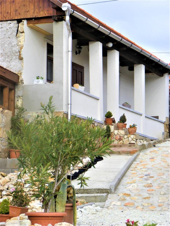 סרנץ' Tokaj Hill Panorama Guesthouse מראה חיצוני תמונה