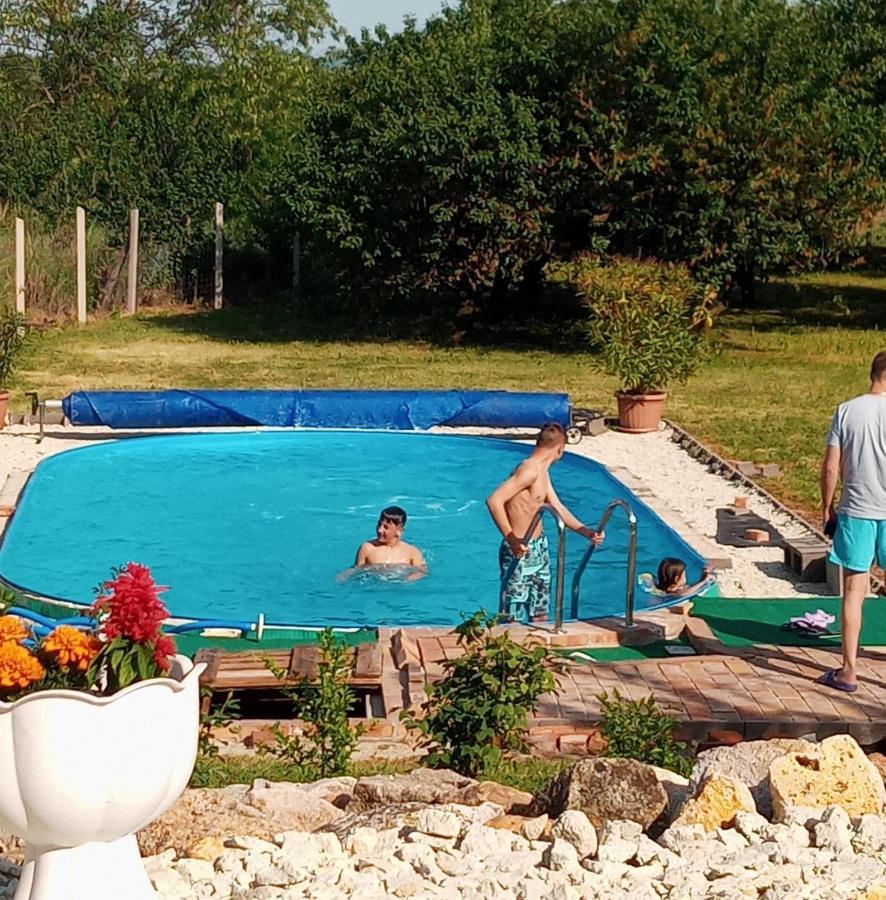 סרנץ' Tokaj Hill Panorama Guesthouse מראה חיצוני תמונה