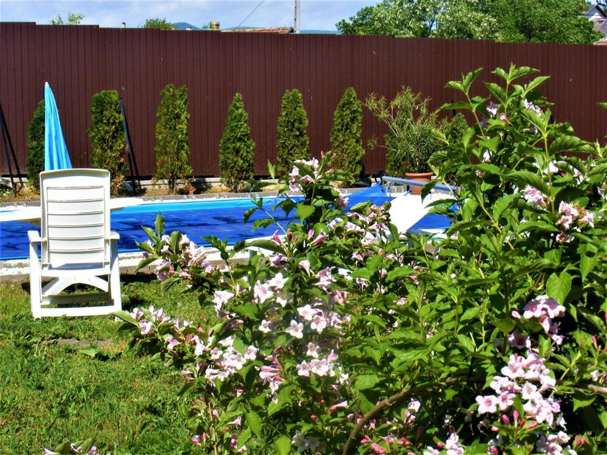 סרנץ' Tokaj Hill Panorama Guesthouse מראה חיצוני תמונה