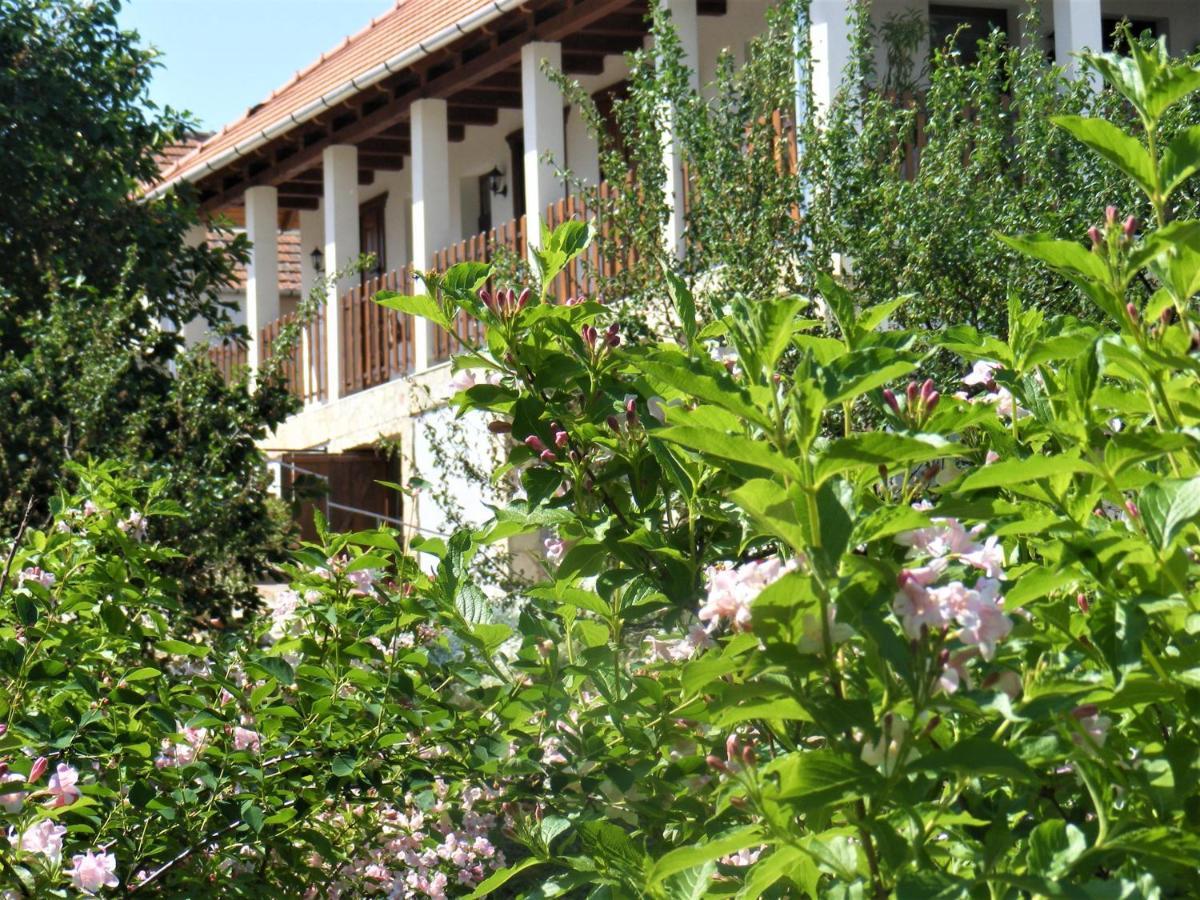 סרנץ' Tokaj Hill Panorama Guesthouse מראה חיצוני תמונה