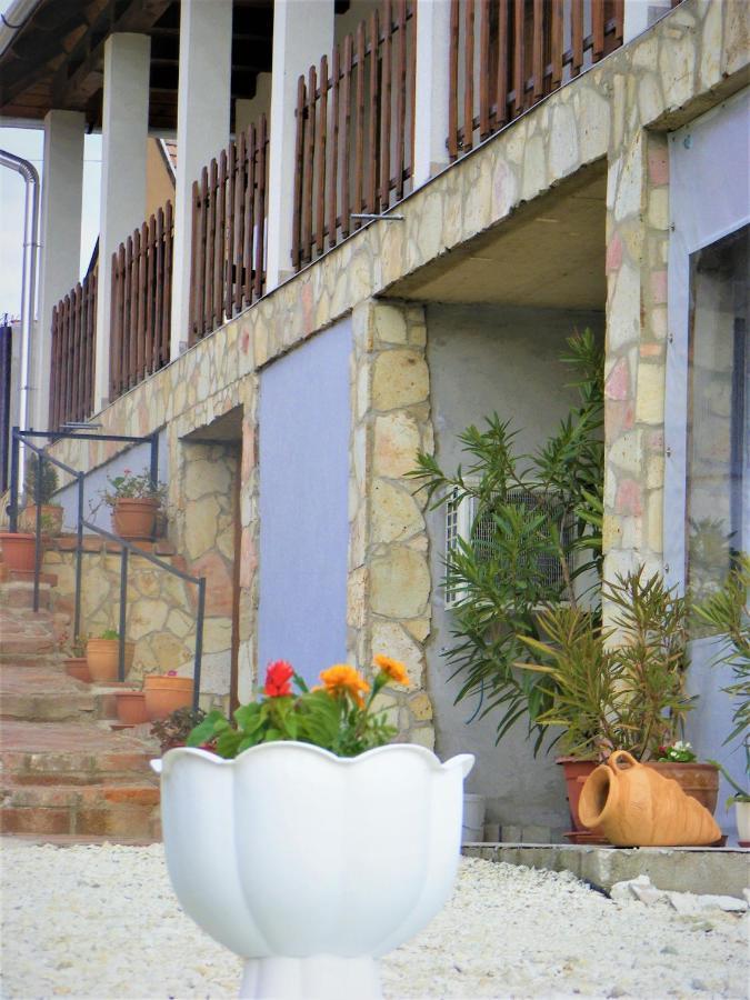 סרנץ' Tokaj Hill Panorama Guesthouse מראה חיצוני תמונה
