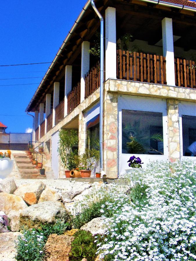 סרנץ' Tokaj Hill Panorama Guesthouse מראה חיצוני תמונה