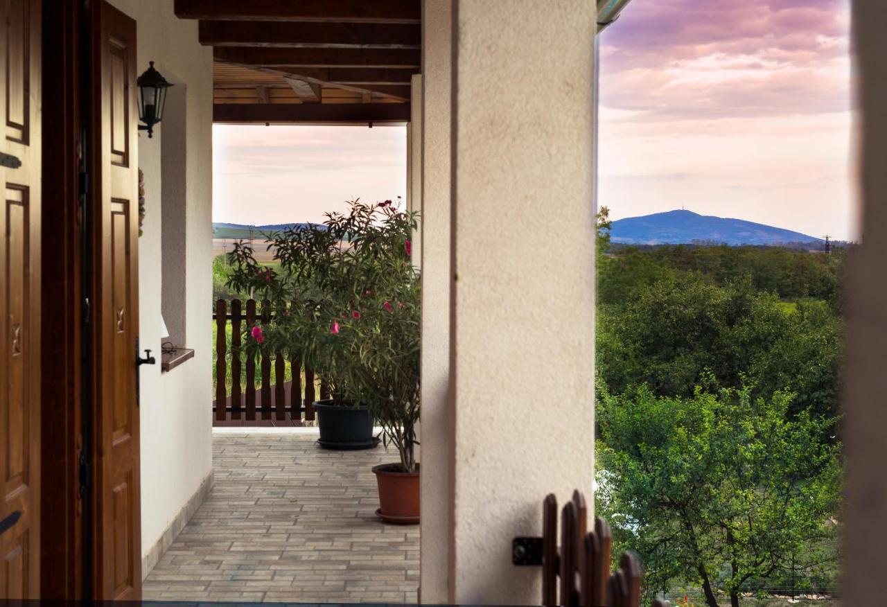 סרנץ' Tokaj Hill Panorama Guesthouse מראה חיצוני תמונה