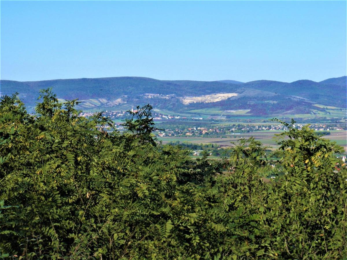סרנץ' Tokaj Hill Panorama Guesthouse מראה חיצוני תמונה