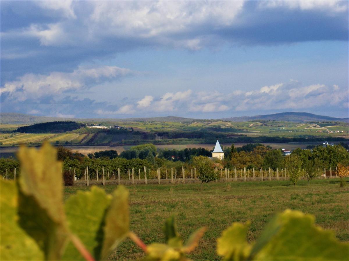 סרנץ' Tokaj Hill Panorama Guesthouse מראה חיצוני תמונה