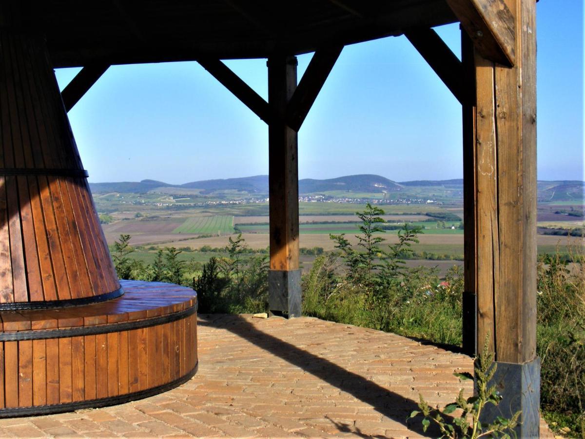 סרנץ' Tokaj Hill Panorama Guesthouse מראה חיצוני תמונה