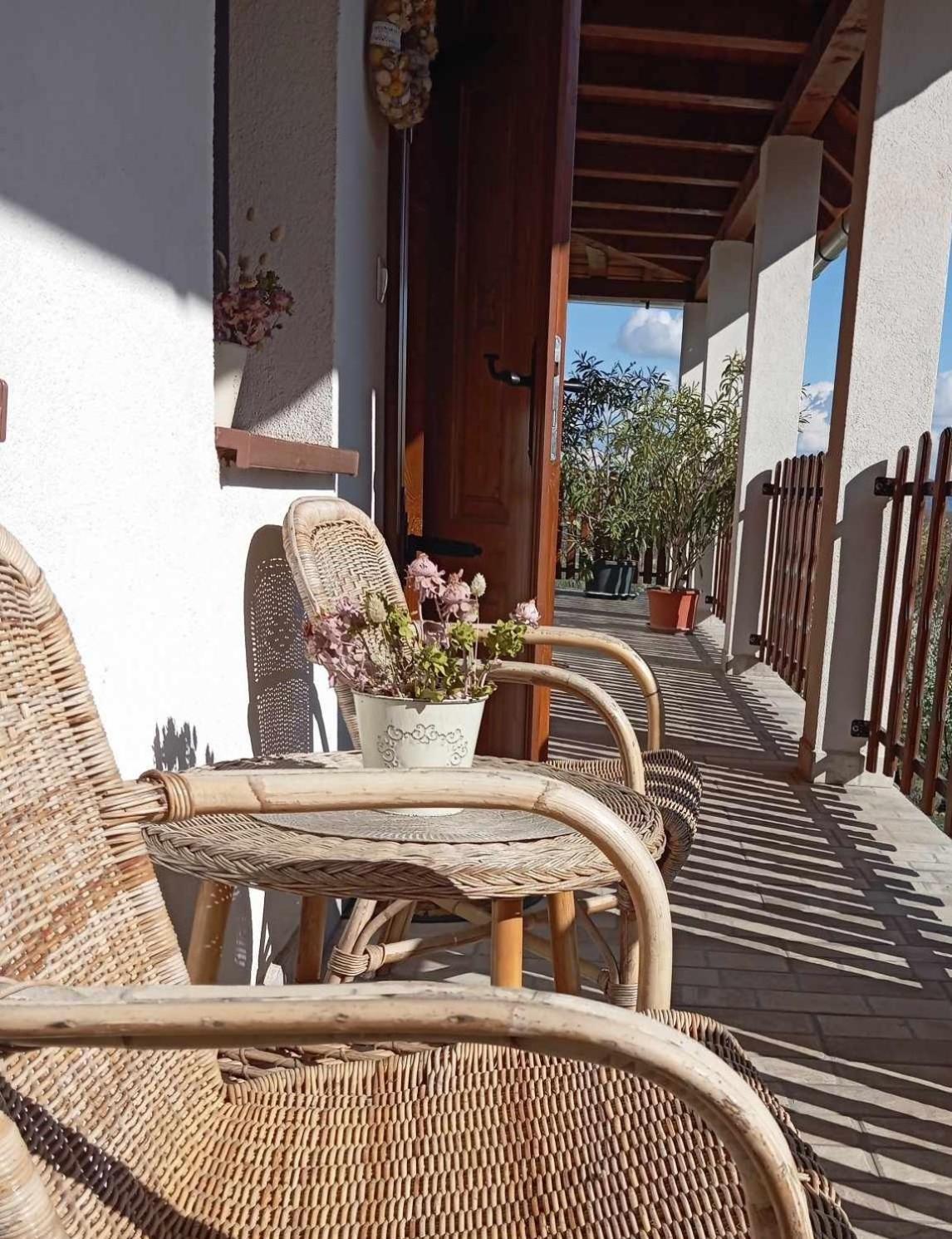 סרנץ' Tokaj Hill Panorama Guesthouse מראה חיצוני תמונה