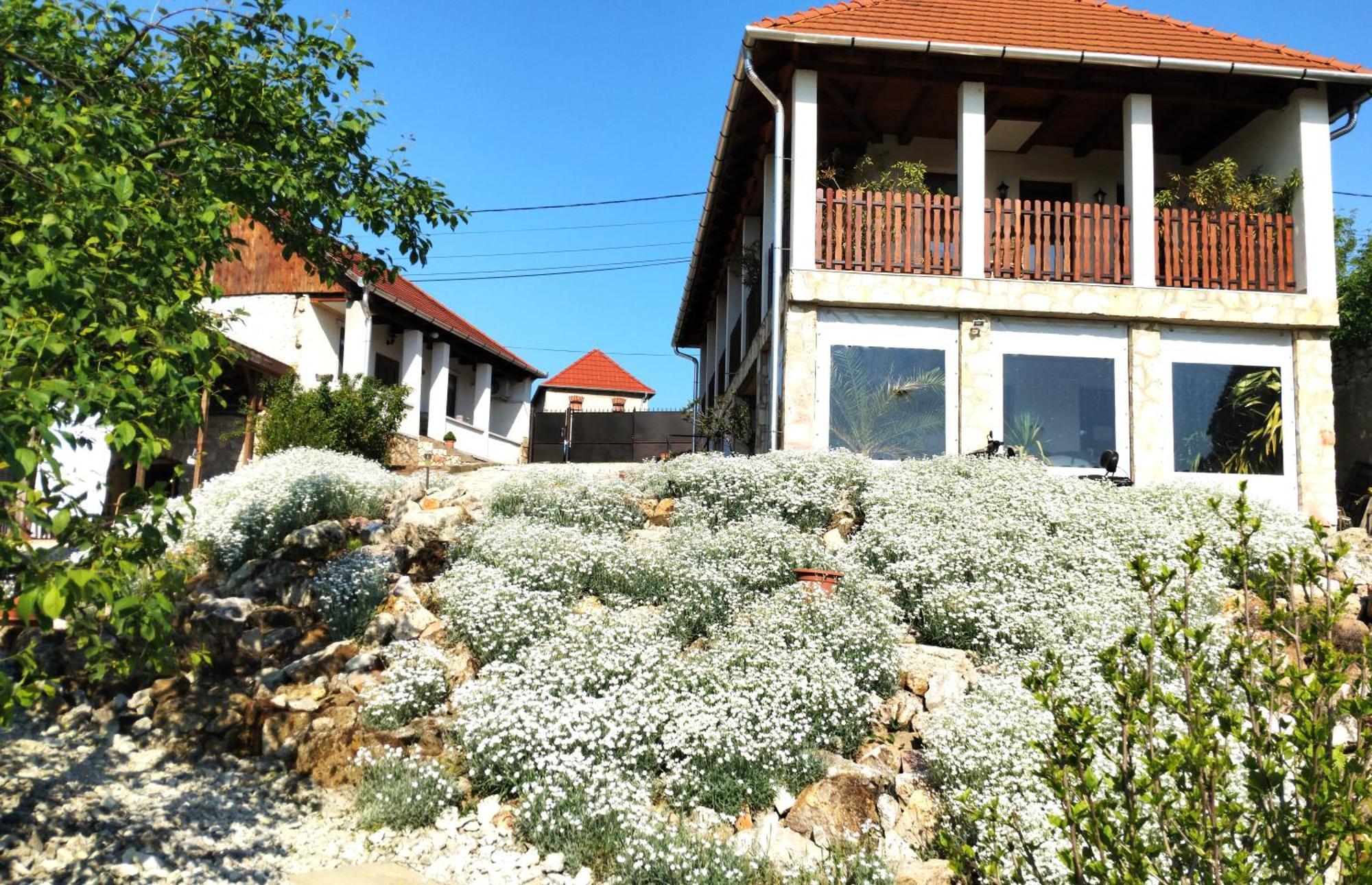 סרנץ' Tokaj Hill Panorama Guesthouse מראה חיצוני תמונה